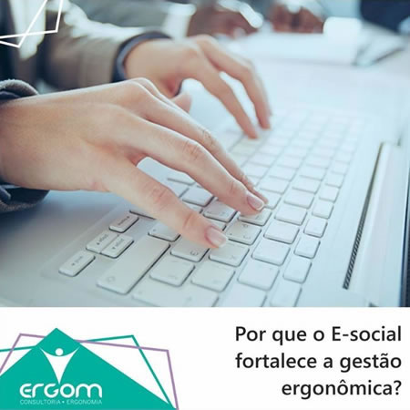 Ergom Consultoria