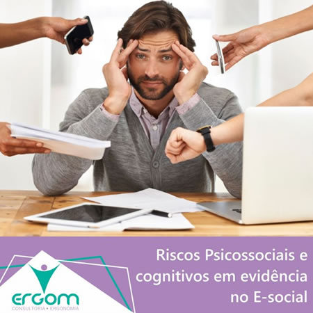 Ergom Consultoria